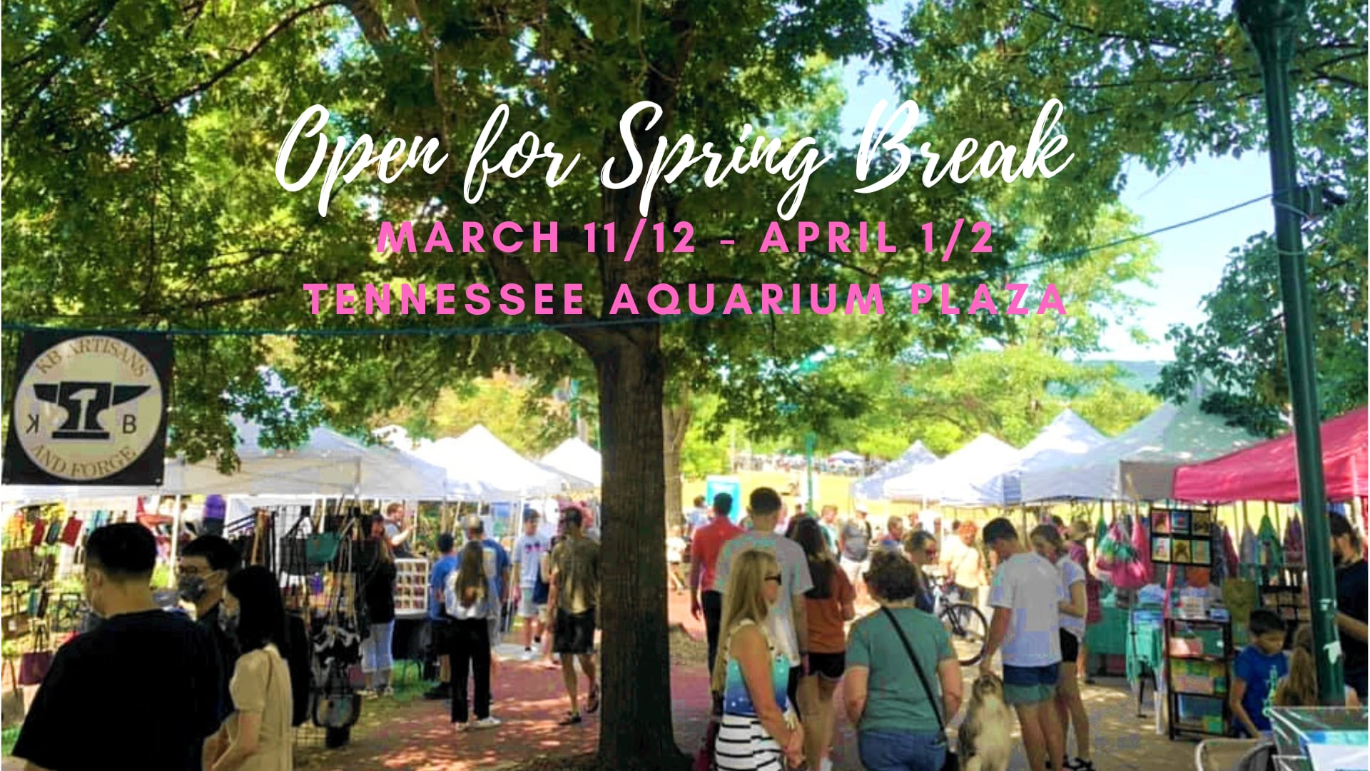 Chattanooga River Market: The 2023 Season Opens for Spring Break Weekends
